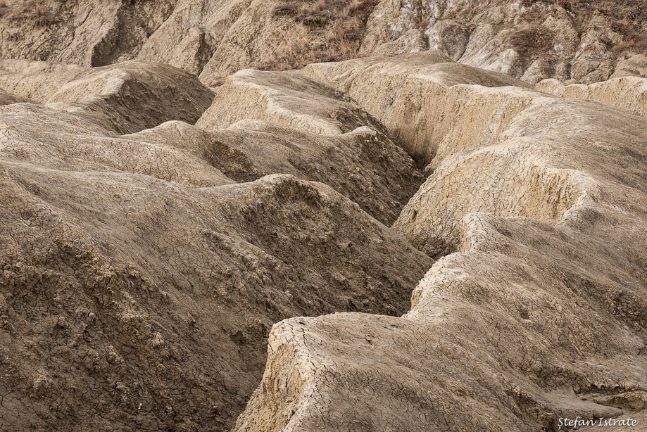 Barren Lands Nature Photography by Ștefan Istrate